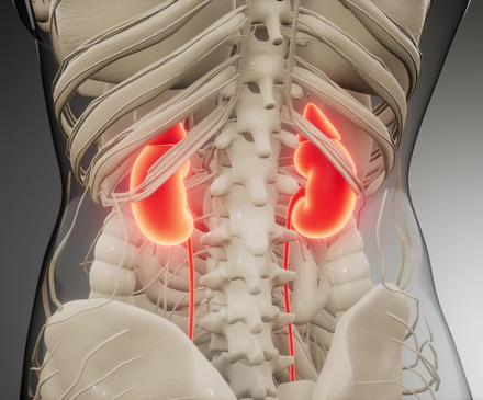 Slider image (4) Dr. Bamidele Alegbeleye - General Surgeon